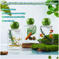 Essential Oil Resin Fresh Fragrance Reed Diffuser