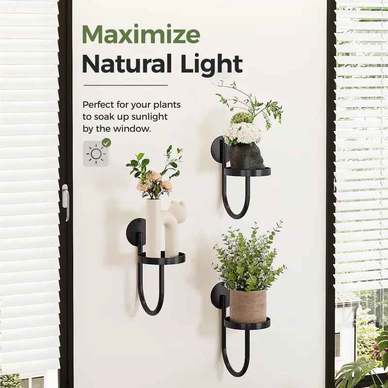 Wall-Mounted Modern Plant Pot Holders