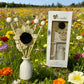 Indoor flameless fragrance